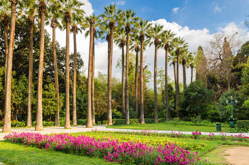 Jardin National d’Athènes